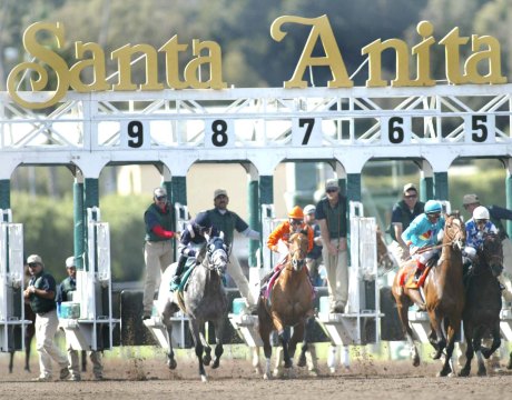 PPA Calls for Horse Racing to Join California Online Poker Bid