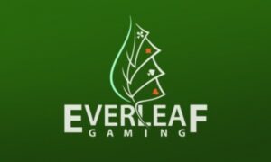 Everleaf Gaming director charged with misappropriation