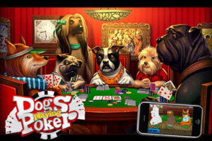 Jilli dog the poker playing Yorkie