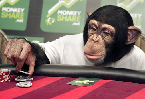 Cuddles the poker playing primate