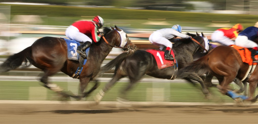 Horseracing Industry Offers California Poker Bill Unbridled Support