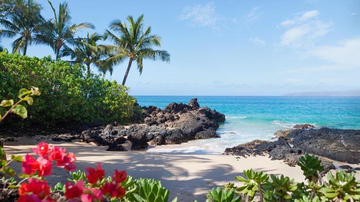 Will Hawaii Beach Its Latest Online Poker Thrust? Tourists Sure Hope Not