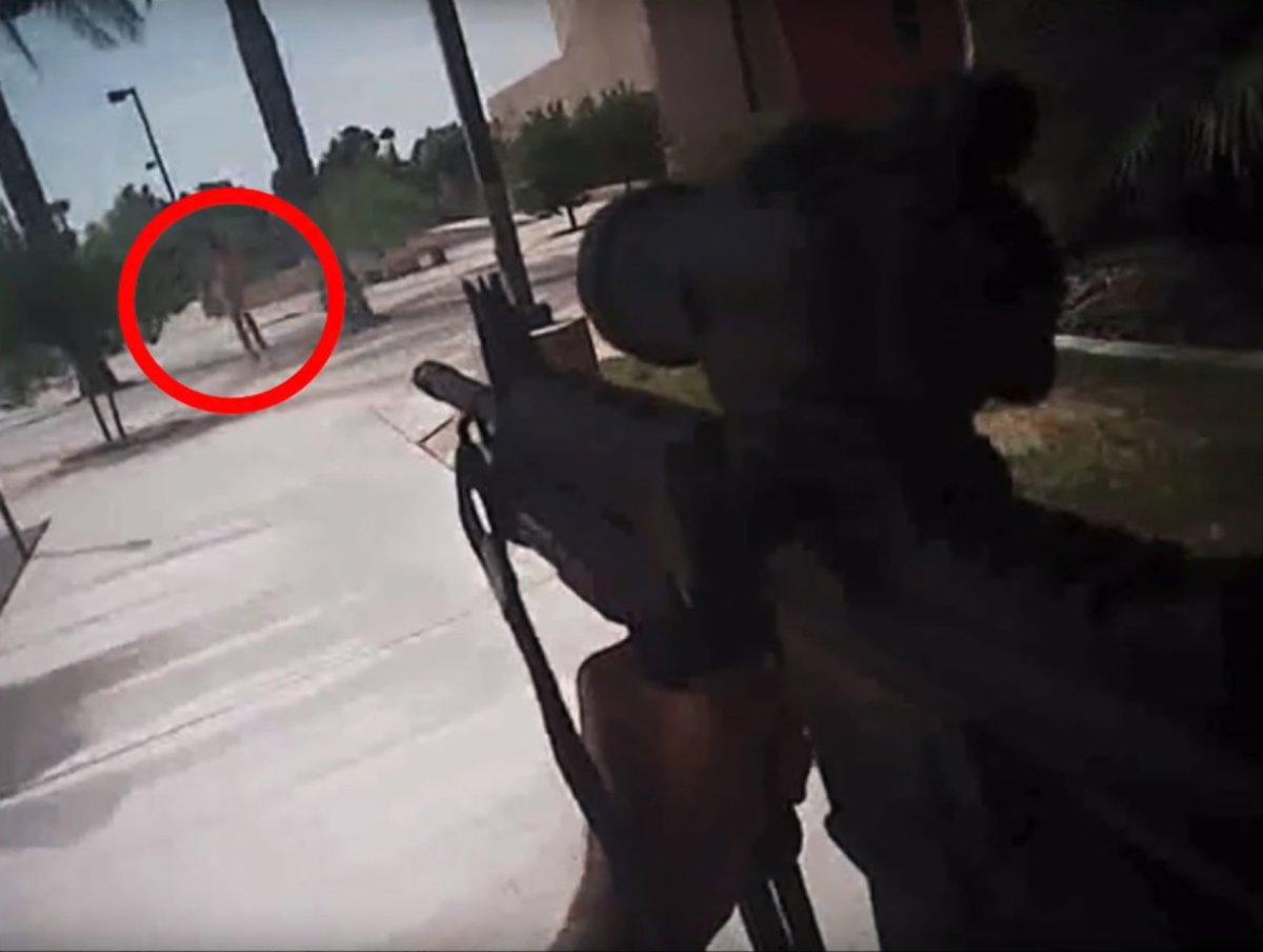 Las Vegas Cop Shoots Down Unclothed Man Who Cashed for $25K in WSOP 2017 Main Event