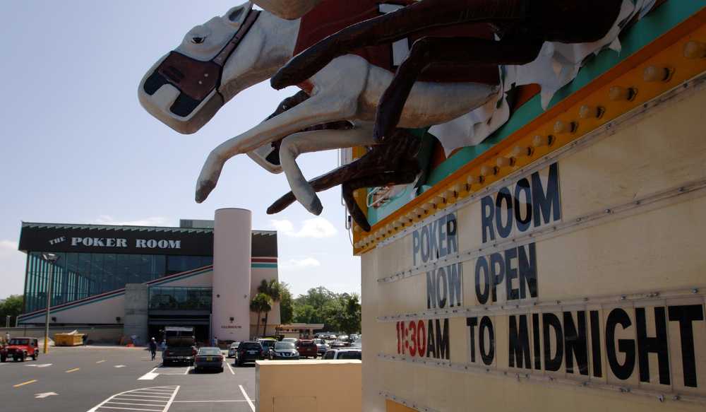 Florida Mayor Calls for ‘Decoupling’ Poker from Dog Racing after Doping Scandal