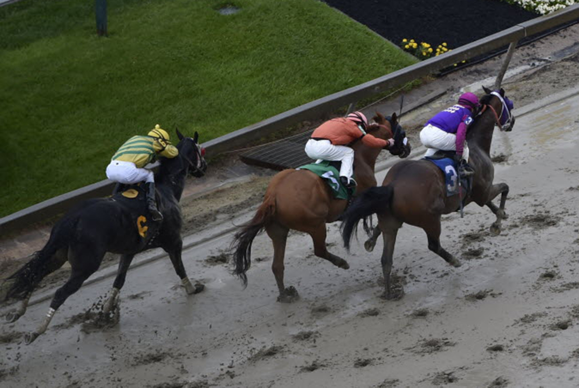 Barton Sees Horse Racing Legislation as Path for Advancing Online Poker