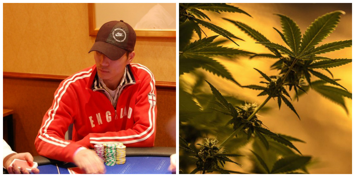 Luong Bui cannabis poker