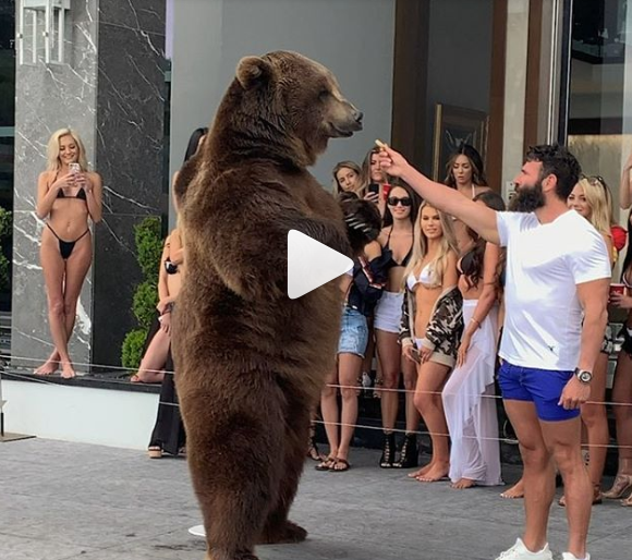 Dan Bilzerian 4/20 Party Bear Stunt Triggers PETA, Animal Rights Group Threatens Legal Action