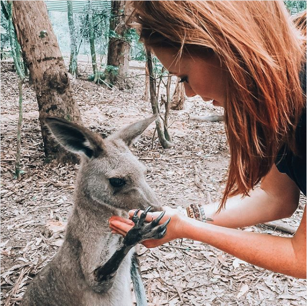 Lynn Gilmartin helping animals in Australia