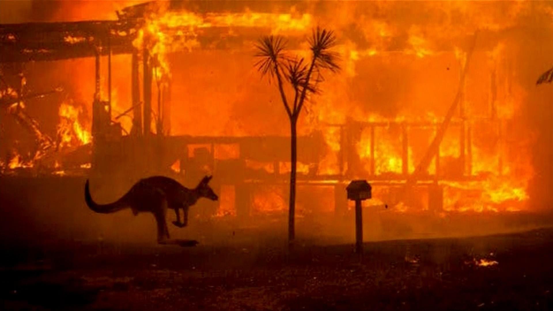 Australia wildfires