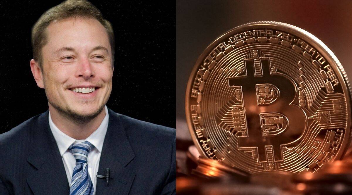 elon musk poker bitcoin