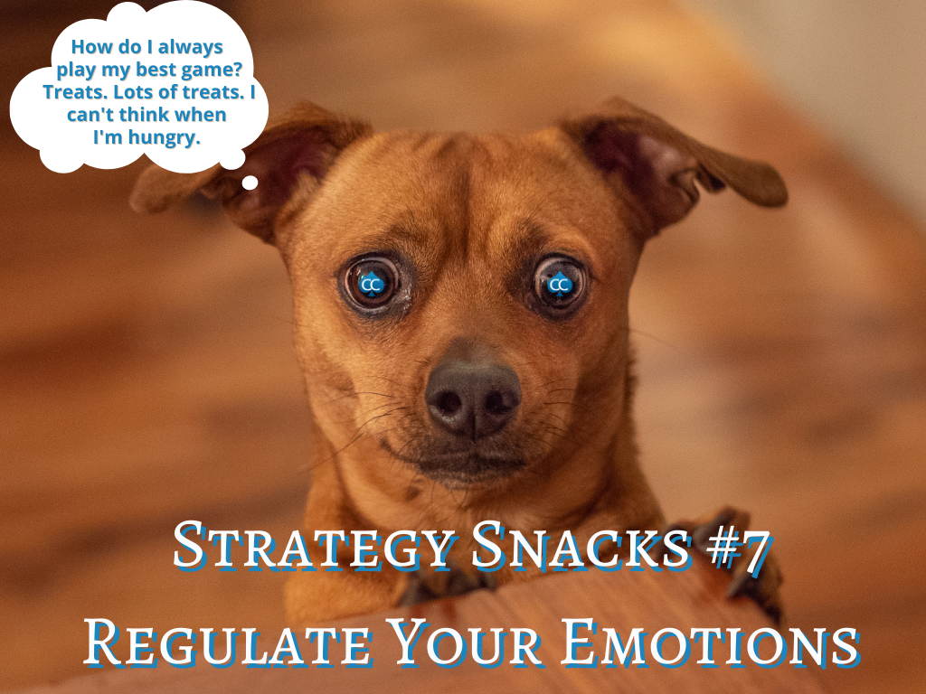 Strategy Snacks #7: Regulate Your Emotions