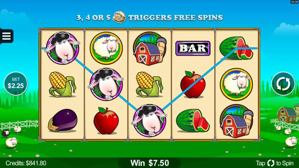 Bar bar black sheep slot