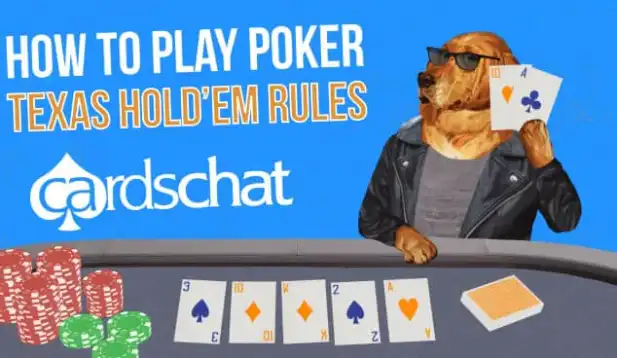 www.cardschat.com