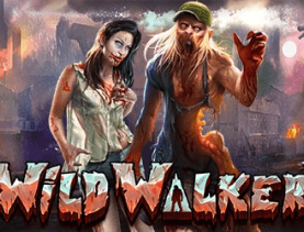 Wild Walker logo